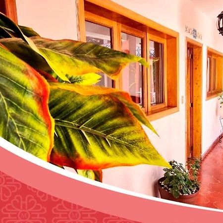 Hotel De Mariacentro San Cristóbal de Las Casas Esterno foto
