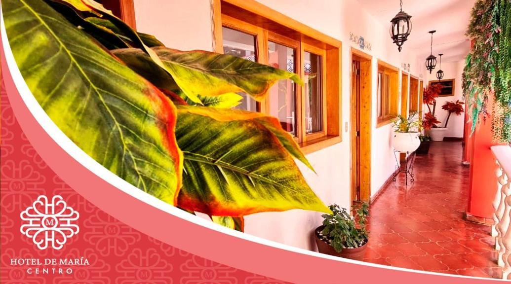 Hotel De Mariacentro San Cristóbal de Las Casas Esterno foto