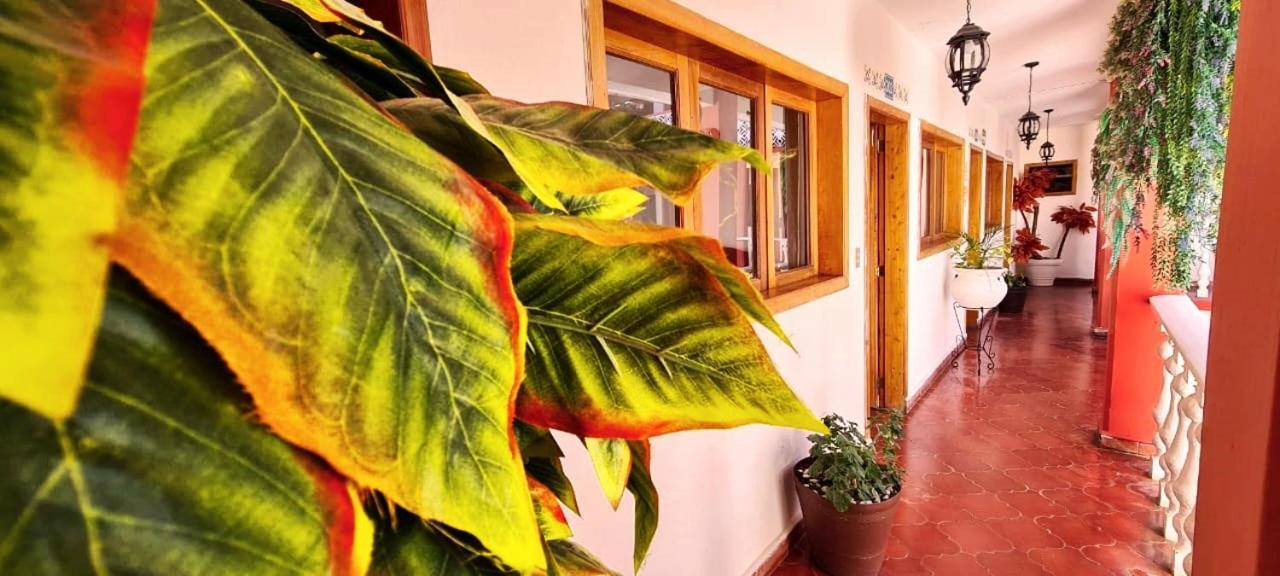 Hotel De Mariacentro San Cristóbal de Las Casas Esterno foto